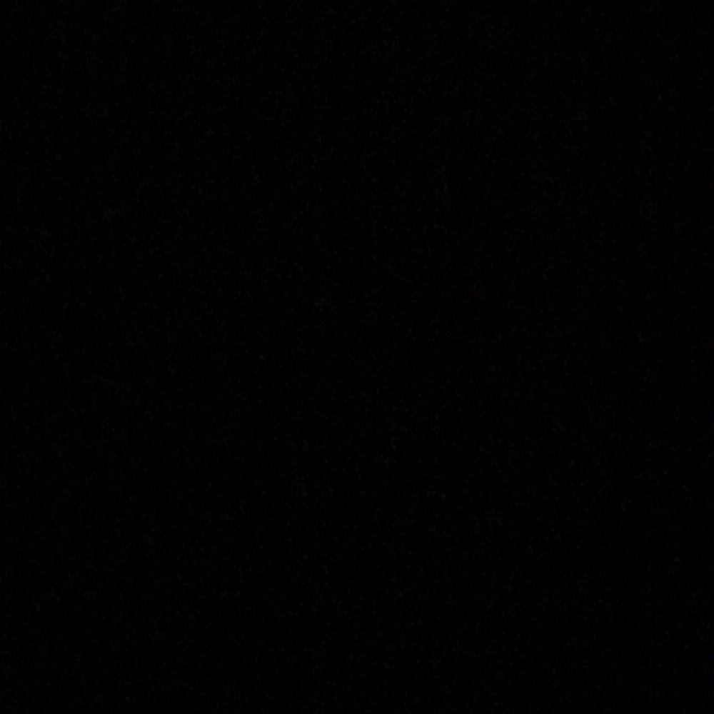 Meet your Posher, Rosie